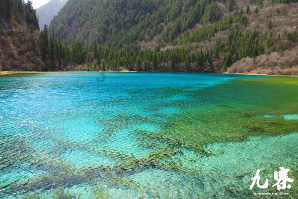 电视剧《夏花》言承旭和黄奕同龄却不同辈分？
