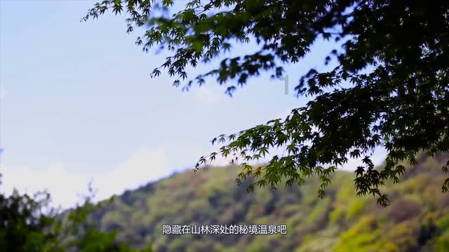 天津市第27届杨柳青国潮灯展开幕